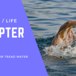 Chapter 2: Sink, swim, or tread water