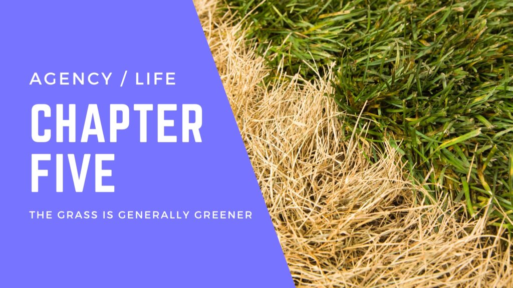 Chapter 5: The grass is generally greener