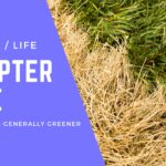 Chapter 5: The grass is generally greener