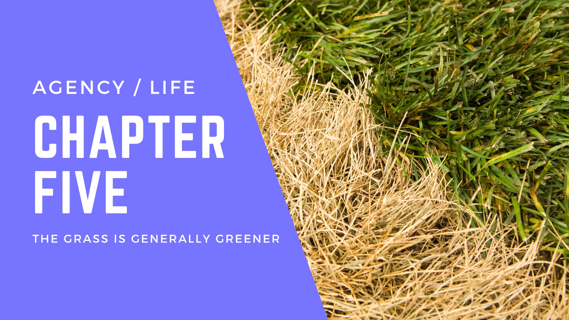 Chapter 5: The grass is generally greener